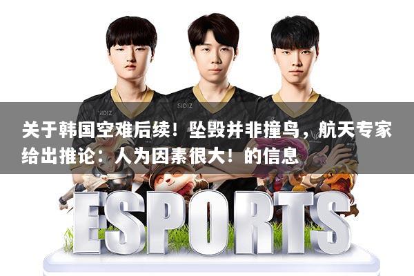 关于韩国空难后续！坠毁并非撞鸟，航天专家给出推论：人为因素很大！的信息