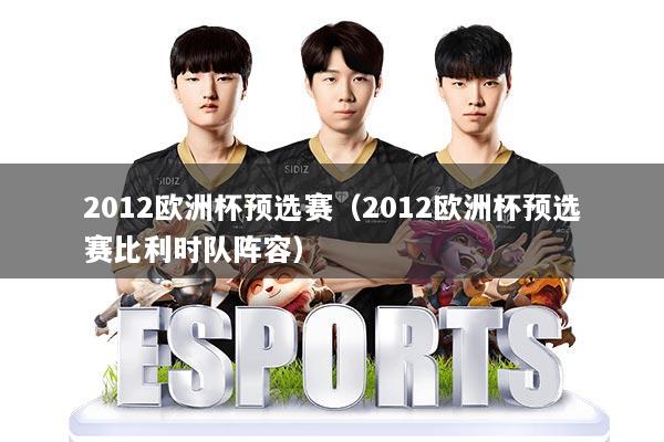 2012欧洲杯预选赛（2012欧洲杯预选赛比利时队阵容）