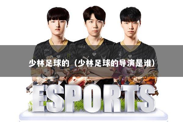 少林足球的(少林足球的导演是谁)