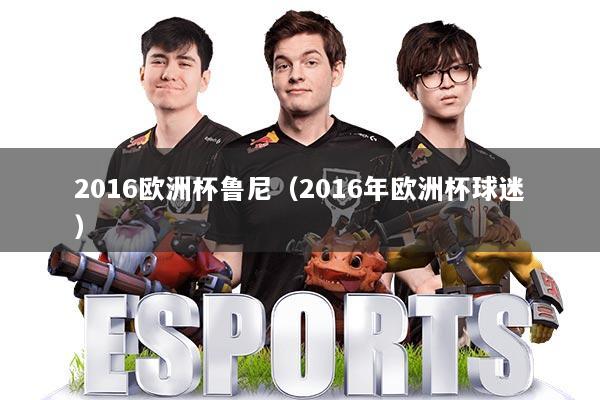2016欧洲杯鲁尼（2016年欧洲杯球迷）