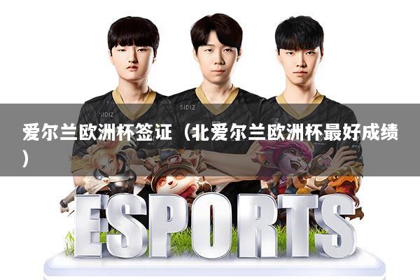 爱尔兰欧洲杯签证（北爱尔兰欧洲杯最好成绩）