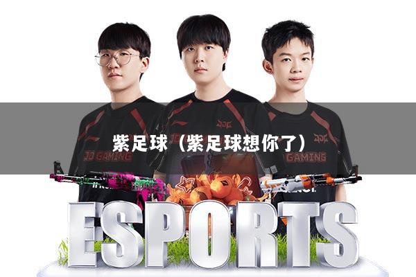 紫足球（紫足球想你了）