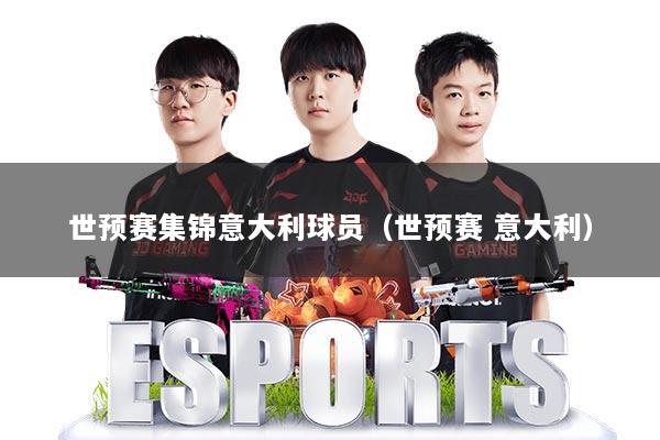 世预赛集锦意大利球员（世预赛 意大利）