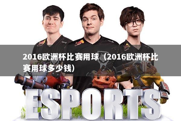 2016欧洲杯比赛用球（2016欧洲杯比赛用球多少钱）