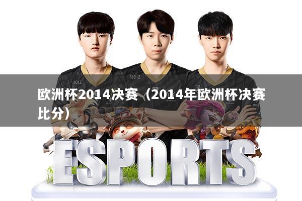 欧洲杯2014决赛（2014年欧洲杯决赛比分）