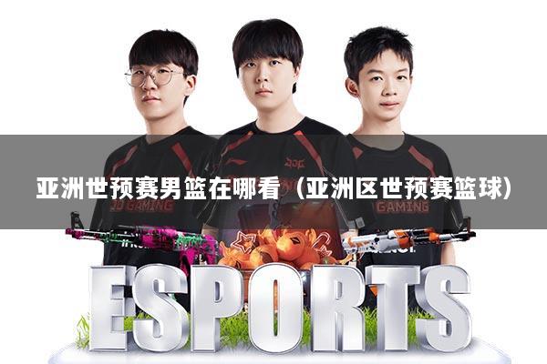 亚洲世预赛男篮在哪看（亚洲区世预赛篮球）