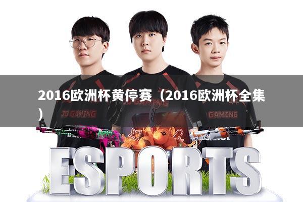 2016欧洲杯黄停赛（2016欧洲杯全集）