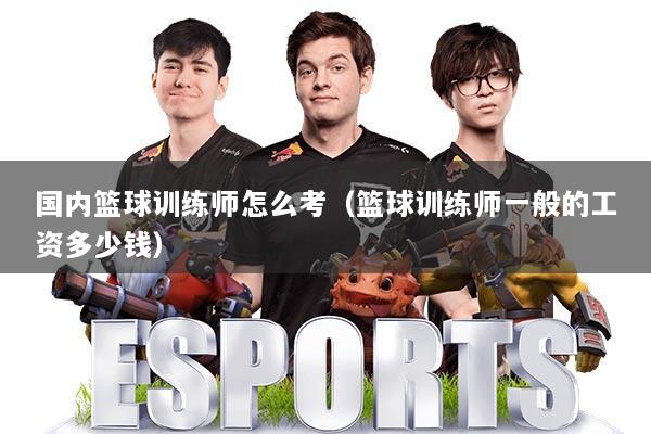 国内篮球训练师怎么考（篮球训练师一般的工资多少钱）