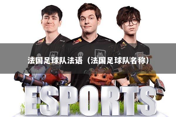 法国足球队法语(法国足球队名称)