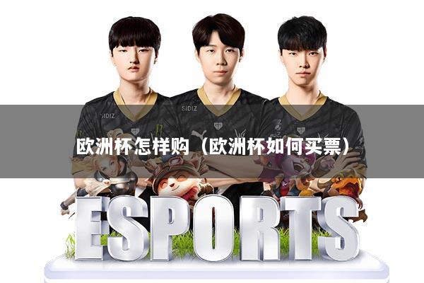 欧洲杯怎样购（欧洲杯如何买票）