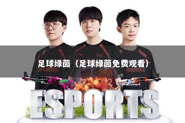 足球绿茵(足球绿茵免费观看)