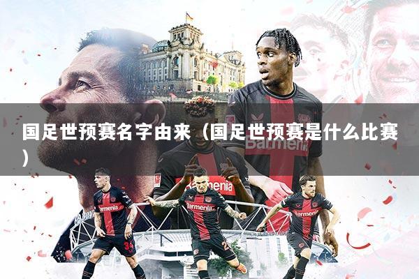 国足世预赛名字由来（国足世预赛是什么比赛）